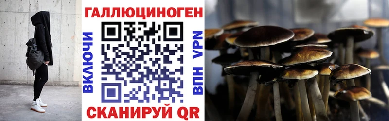 Псилоцибиновые грибы GOLDEN TEACHER Ивангород