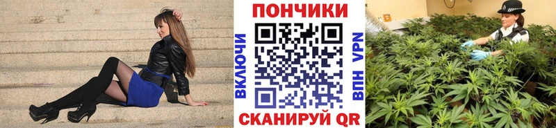 Бошки Шишки план Ивангород